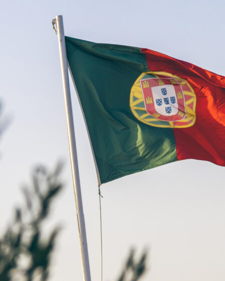 Tradução do português de Portugal para o português do Brasil: quando é necessário?