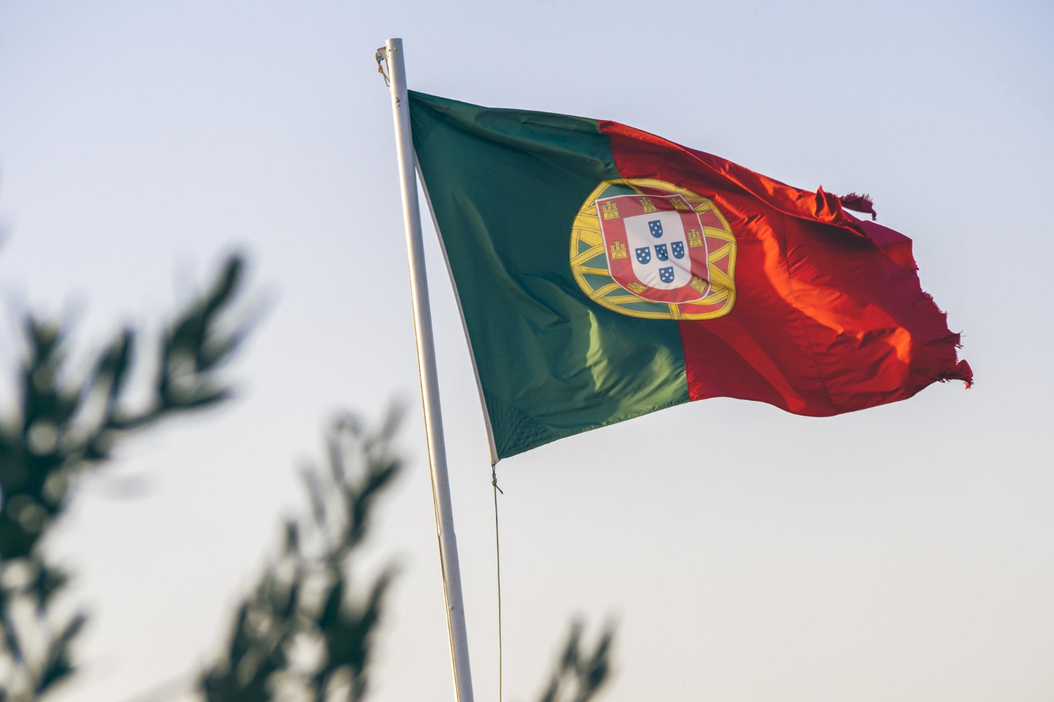 Tradução do português de Portugal para o português do Brasil: quando é necessário?